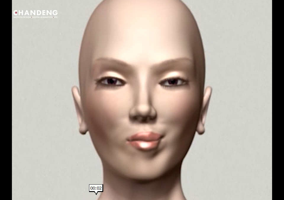 VISAGE 3D